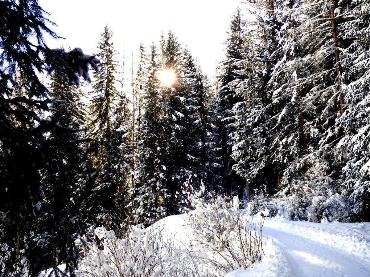 Die Natur Residenz Innervillgraten Esterno foto